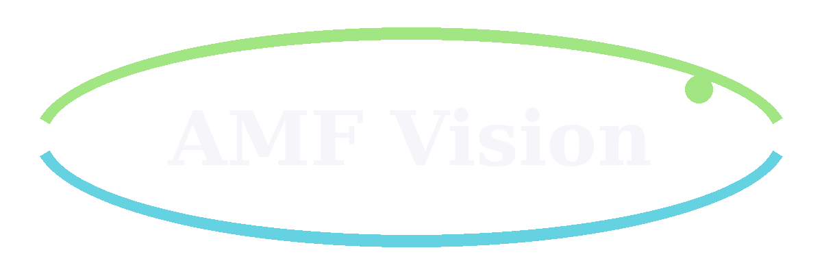 AMF Vision