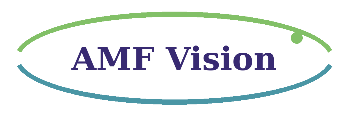 AMF Vision